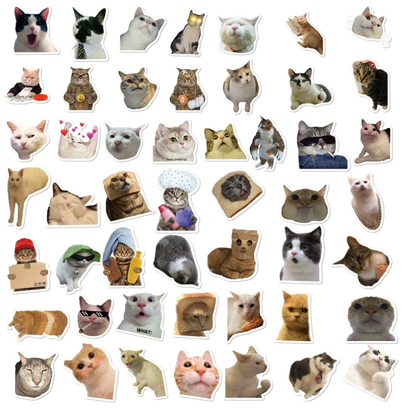 Funny cat sticker pack